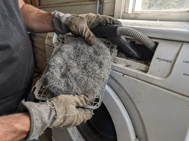 Cleaning Dryer Lint Trap in Raynham